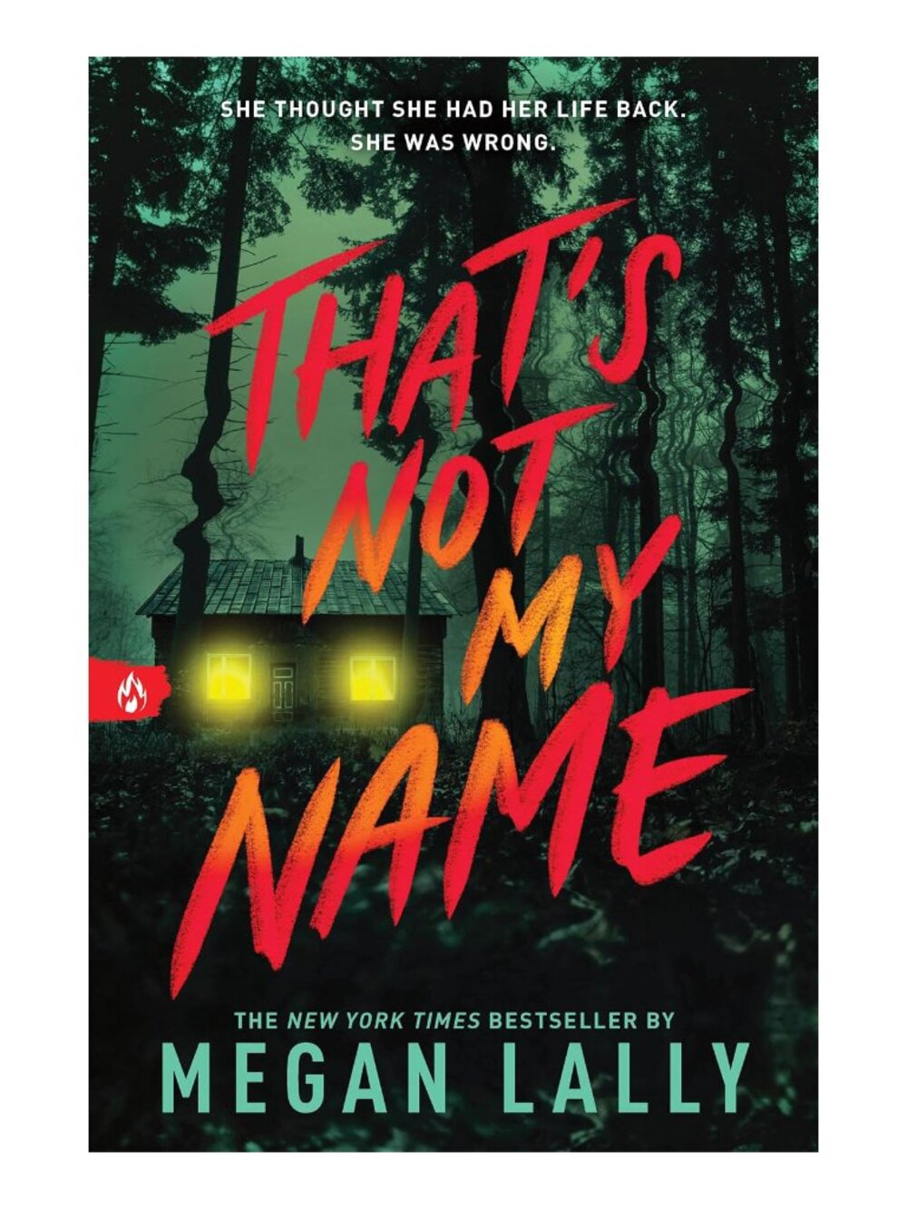 That's Not My Name book